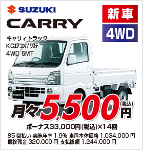 SUZUKI CARRY